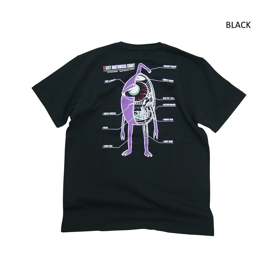 TOY MACHINE トイマシーン MAD MOUSE COMIC COLLAB SECT SS TEE 春夏 メンズ
